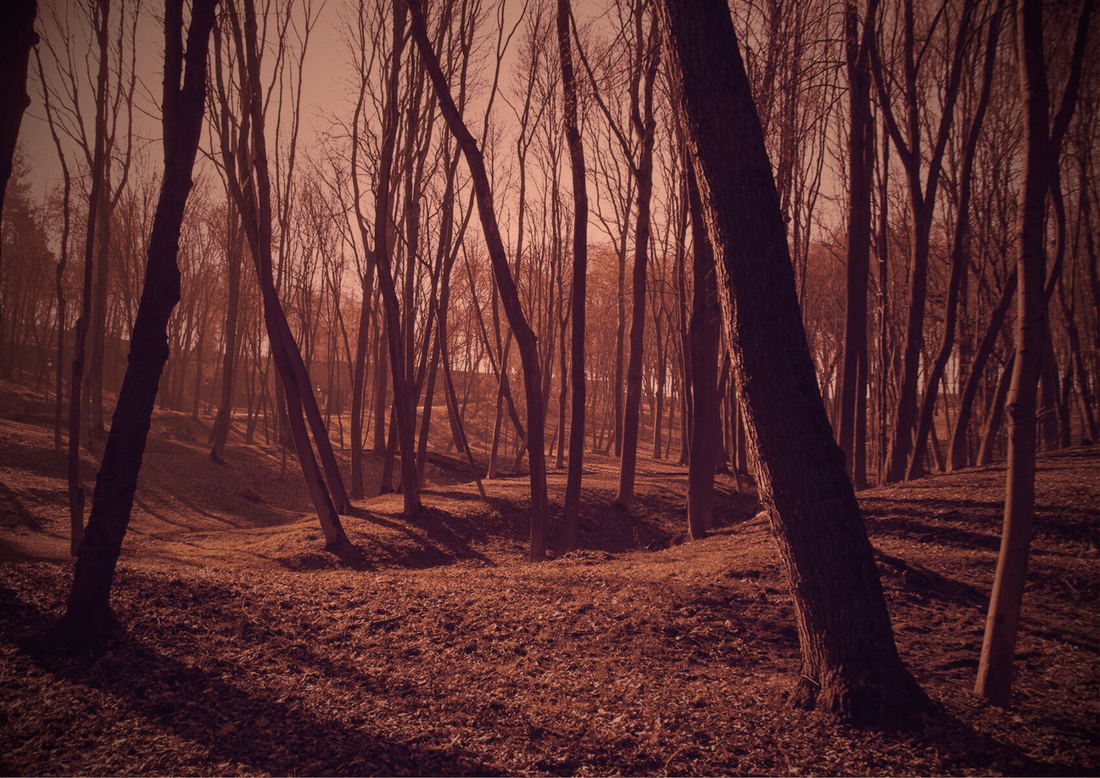 32 Trees - Neuhabitat