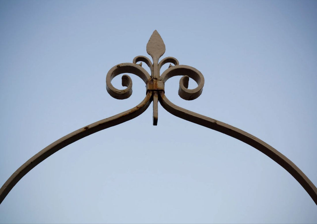 Fleur-de-Lis: A Timeless Emblem of Elegance and Heritage - Neuhabitat