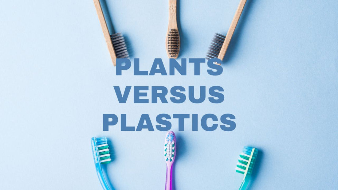 Plants Versus Plastics - Neuhabitat
