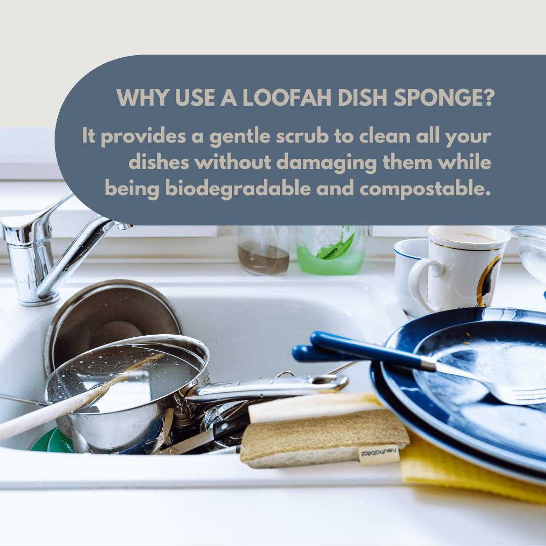 Loofah Cellulose Dishwashing Sponge Natural Cotton Stitched Plant - based Eco Friendly Luffa Scrubber Scouring Pads - Neuhabitat