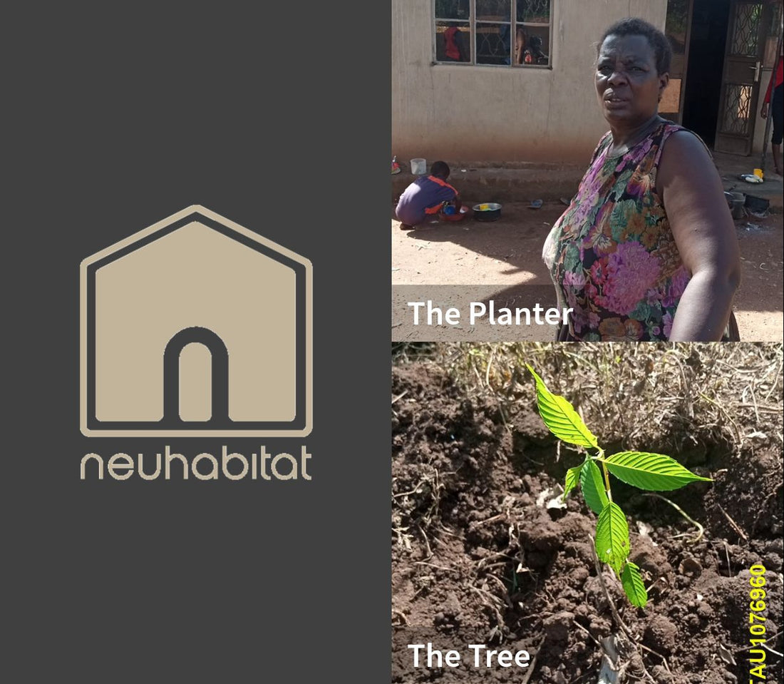 One Tree At A Time - Neuhabitat