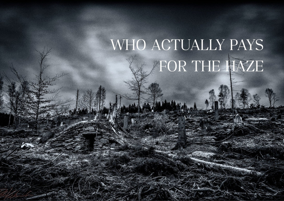 The Smoke Never Stays Home: Who Really Pays for Southeast Asia's Burning Season - Neuhabitat
